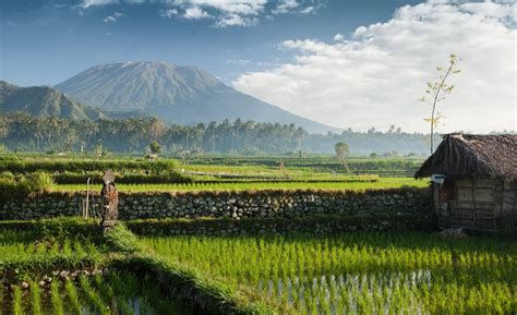 Find Cheap Flights from Manila to Bali .